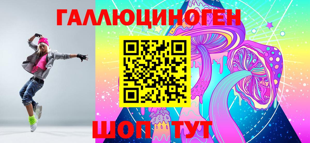 Псилоцибиновые грибы Psilocybine cubensis Дзержинский
