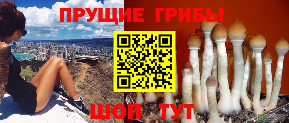 Экстази Дзержинский